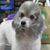 Michelle Golding's profile image