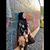 Celina Alas Acosta's profile image