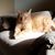 Alexandra C. Robinson's profile image