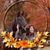Renee Antaya's profile image
