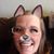Dana Taylor's profile image