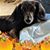 Caroline Woolard's profile image