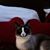 Camille Morgan's profile image