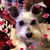 Julie Melinda's profile image