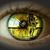 Dee Clemons's profile image