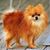 Tina Pi's profile image
