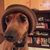 Tony Halstead's profile image
