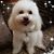 Diann Ranum's profile image
