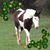 Sherry Jackson's profile image