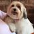David K. LaBrot's profile image