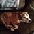 Wendy Reuss Brookshier's profile image