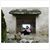 Hemma Zulfi's profile image