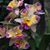 Julie Cosco-Deputy's profile image