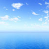 Marianne O.'s profile image