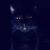 Annabel Lee's profile image