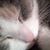 Patricia Cordia's profile image