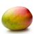 Kontogouris Nick's profile image