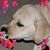 Tracey Lenz's profile image