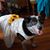 Tiffany Kilheeney's profile image