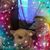 Jacqueline Cantelme's profile image