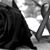 Roberto Y Raquel's profile image