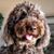 Michelle Gavagan's profile image
