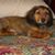 Jonni Guelde's profile image
