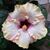 Crystal Weber's profile image