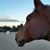 Nancy Bolger's profile image