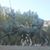 Raul Marchant Lara's profile image