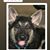 Cindy Gialluca's profile image