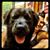 Tracey Arcabasso Smith's profile image