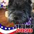 Carolyn Merrone's profile image