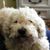 Jacquie Fowler's profile image