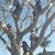 Nereida Pagan's profile image