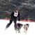 Johnn Molburg's profile image