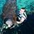 Emily Loucks's profile image