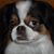 Nancy Nicola Burke's profile image