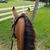 Debbie Hart Woodruff's profile image