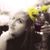 Sandra Marie's profile image