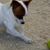 Kathy Patrik's profile image