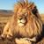 Ray Ables's profile image