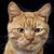 Grenier Jerri Ann's profile image