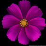 Tina H.'s profile image