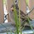 Laura Cathcart's profile image