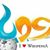جوبا انوبى's profile image