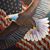 Jim Miller's profile image