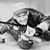 Jenny Boyd's profile image