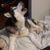 Mike Click's profile image