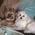 Vicky Hoskin's profile image